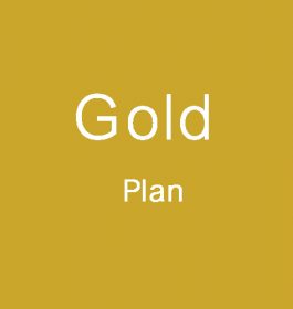 Gold Plan for Venfors