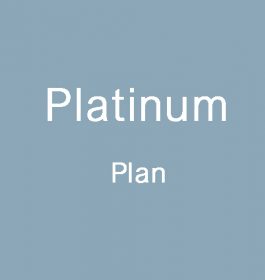 Platinum Plan for Vendors