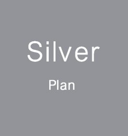 Silver Plan for Vendors